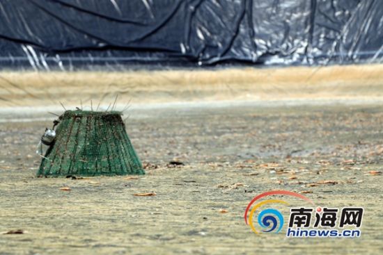文昌林梧村种植业养殖业遭灭顶之灾盼外界关注