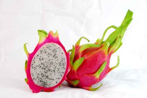 火龙果什么样的最好吃?当然要选 矮胖子