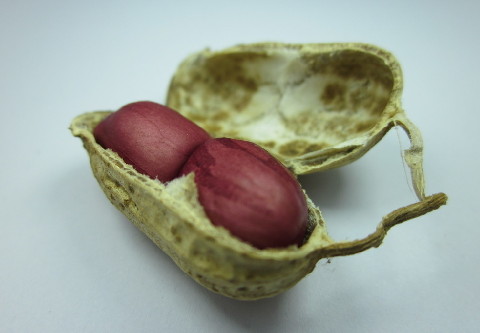 饮食养生：花生虽好却未必人人都适合吃