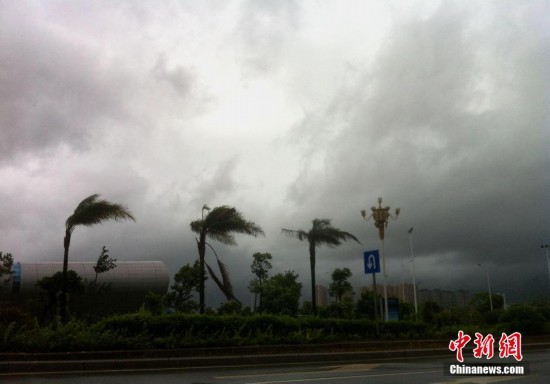 台风"麦德姆"登陆福建 带来狂风暴雨【50】