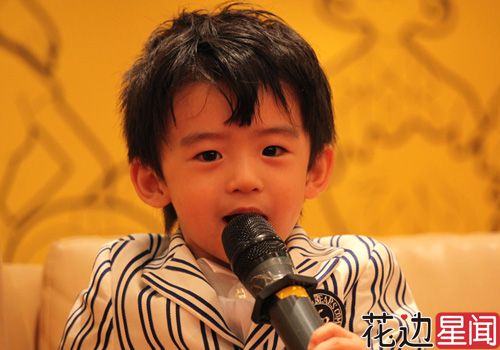 史:杨幂<em>倾心</em>谢霆锋