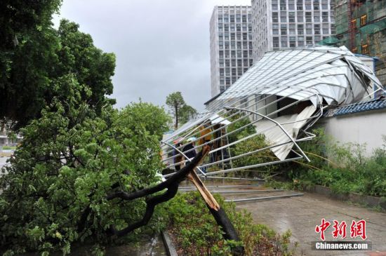 台风 麦德姆 登陆福建 狂风暴雨吹翻铁皮房(组