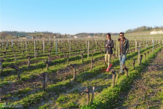 赵薇价值千万酒庄曝光 网友:小燕子嫁人变凤凰