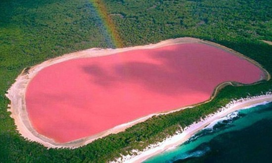 揭秘地球上最奇异的那些湖 玫瑰湖火山湖杀人