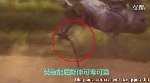 古剑奇谭20大爆笑穿帮镜头:李易峰替身露馅 阿娇头饰会变色 古剑奇谭20大爆笑穿帮镜头:李易峰替身露馅 阿娇头饰会变色