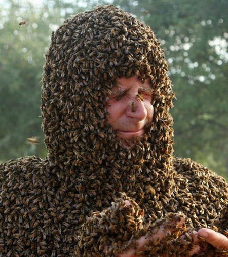 加拿大蜜蜂胡须大赛挑战参赛者忍耐力(组图