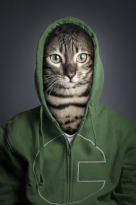 观念摄影:猫面人【组图】