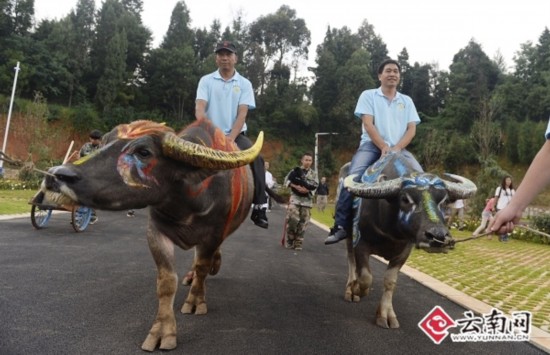 云南动物园大阅兵 老虎栓绳游街(组图)