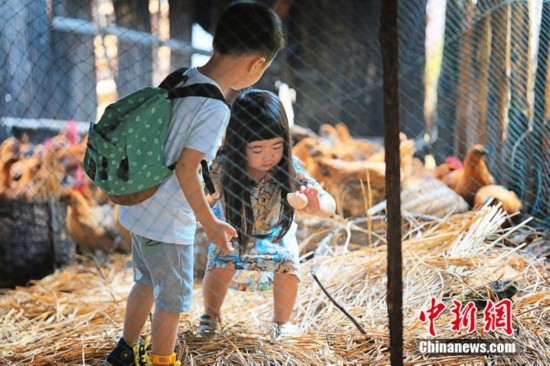 爸爸去哪儿第二季第3站未播出片段曝光:姐姐G