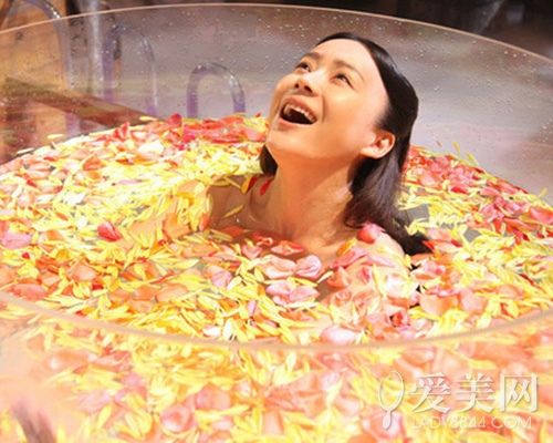 2014内地女星电视剧片酬 孙俪眨眼赚别人一年的年薪 - 仙人掌 - 仙人掌 2014内地女星电视剧片酬曝光 孙俪87万/集