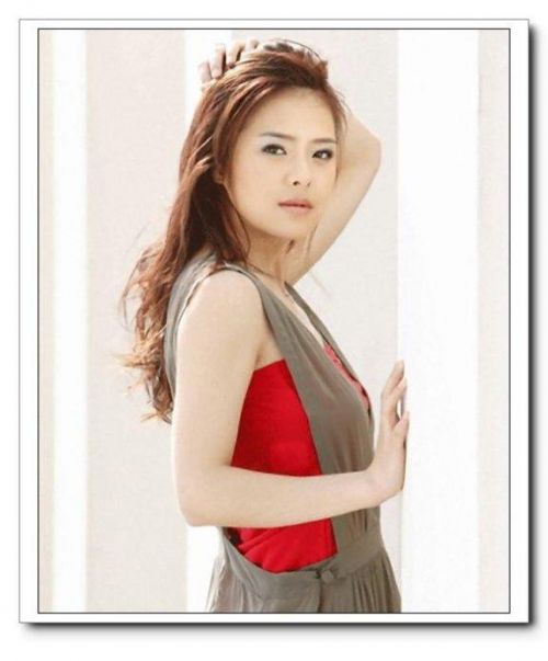 董卿谢娜柳岩陈辰朱丹 30家电视台"一姐"pk(组图)【3】