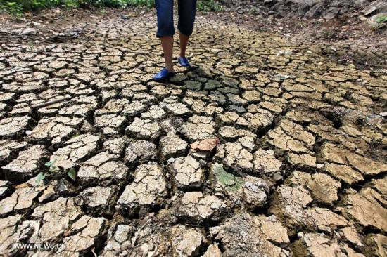 Photo taken on July 31, 2014 shows a dried-up land at Xujia Village of Tanshan Town, Yun County, Shiyan City, central China's Hubei Province. Lingering drought in Yun County has scorched rivers and reservoirs, causing water shortages. (Xinhua/Cheng Fuhua)