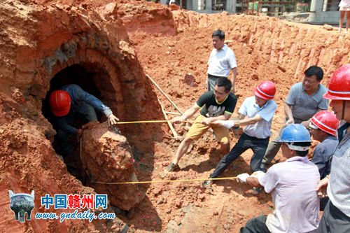 图片版权归原作者所有 1346353173014953089.jpg-图片版权归原作者所有