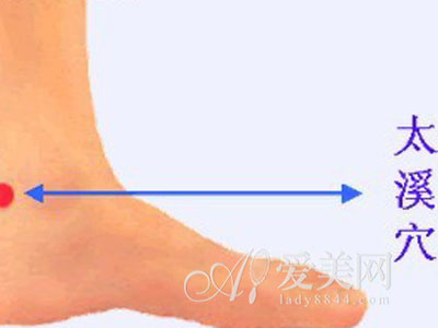 按足三里补气养胃 按摩6个穴位等于吃补药- M