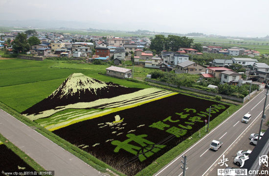 �ձ�ũ���ֳ����浾�ﻭ_�����