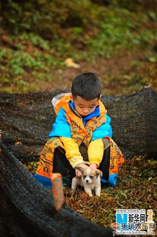 爸爸2曹格区别对待儿女情感走红网络 网友:真