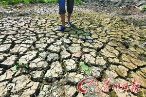 内地多地干旱:河南农民抓阄排号取水 洗脸水喂