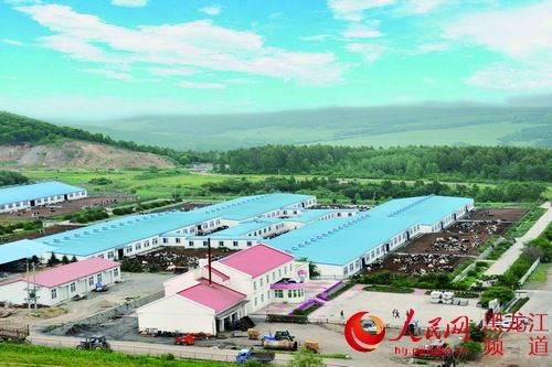 黑龙江一农场牛奶可溯源 打造食品安全基地