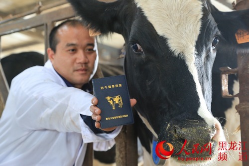 黑龙江一农场牛奶可溯源 打造食品安全基地