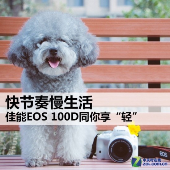  EOS 100Dͬᡱ 