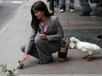 怪鱼吸烟视频遭网友谴责 人模人样的动物搞怪