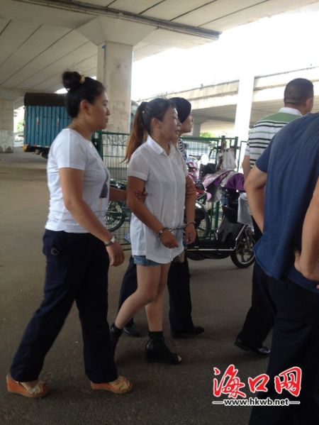 南大桥下卖假电动车蓝牌 海口一女子被抓获