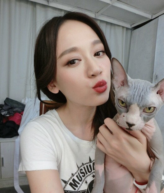 陈乔恩与<em>无毛</em>猫 都敏俊 合影 表情神同步[图]--青