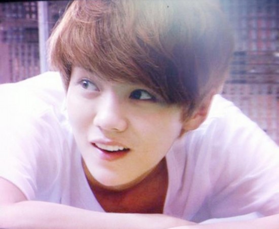 EXO鹿晗韧带拉伤 带伤参与巡演别人跳舞他坐