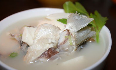 饮食养生:豆腐7种吃法 养生效用最大化