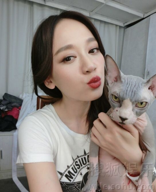 陈乔恩晒都敏俊合影 与无毛猫表情神同步