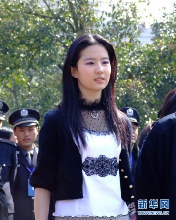 中国最美女星排行 杨幂运气好刘诗诗勉强上榜