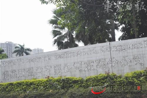 东莞诺基亚换上微软标志 大量员工自动离职