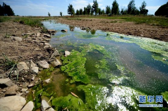 辽宁遭遇60余年来最重旱情 河道滴水不见