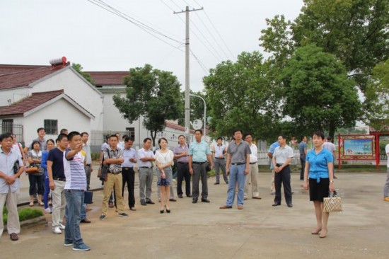人口文化一条街_副市长刘桂芳一行在我县调研人口计生等工作(2)