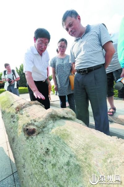 图片版权归原作者所有
