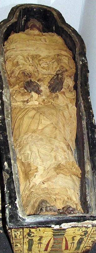 研究发现埃及木乃伊死亡时间比以往认知还早