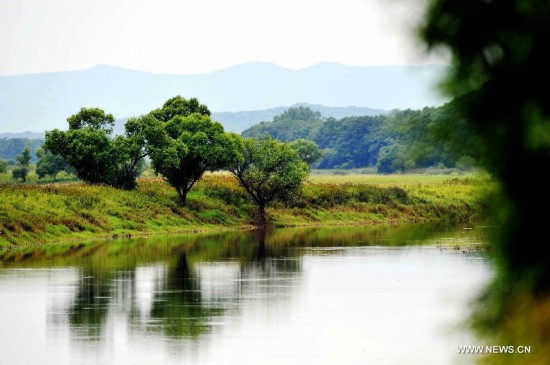 Zhenbao Island, which means rare treasure in Chinese, has a wetland area of 29,275 hectares. The wetland here was designated as a wetland of international importance by the Ramsar Convention on October 2011 for its vital importance as a unique wetland for biological diversity. 