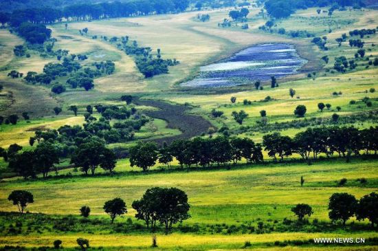 Zhenbao Island, which means rare treasure in Chinese, has a wetland area of 29,275 hectares. The wetland here was designated as a wetland of international importance by the Ramsar Convention on October 2011 for its vital importance as a unique wetland for biological diversity. 