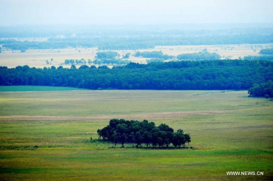 Zhenbao Island, which means rare treasure in Chinese, has a wetland area of 29,275 hectares. The wetland here was designated as a wetland of international importance by the Ramsar Convention on October 2011 for its vital importance as a unique wetland for biological diversity. 