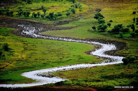 Zhenbao Island, which means rare treasure in Chinese, has a wetland area of 29,275 hectares. The wetland here was designated as a wetland of international importance by the Ramsar Convention on October 2011 for its vital importance as a unique wetland for biological diversity. 