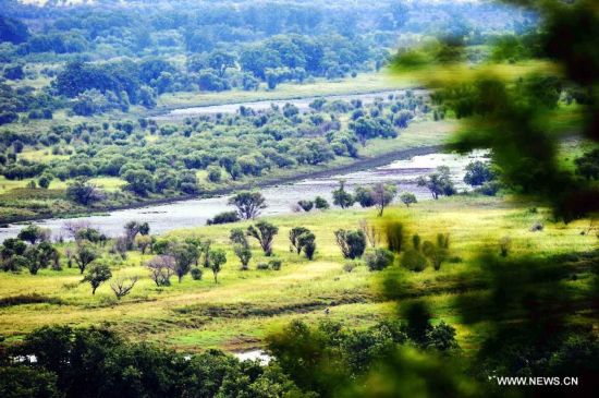 Zhenbao Island, which means rare treasure in Chinese, has a wetland area of 29,275 hectares. The wetland here was designated as a wetland of international importance by the Ramsar Convention on October 2011 for its vital importance as a unique wetland for biological diversity. 