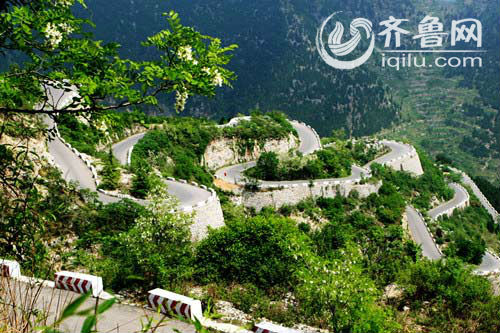 莫斯科人均绿地面积_潍坊人均住房面积(3)