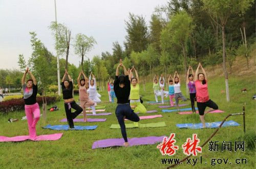 榆林30余名瑜伽爱好者榆溪河畔集体练瑜伽
