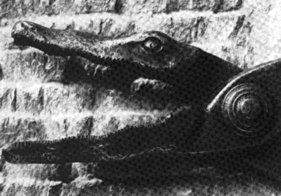 胆小者勿入!盘点世界史上25大酷刑(图)