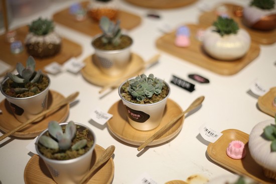 上海奇特植物展亮相 700多株进口珍稀植物首次