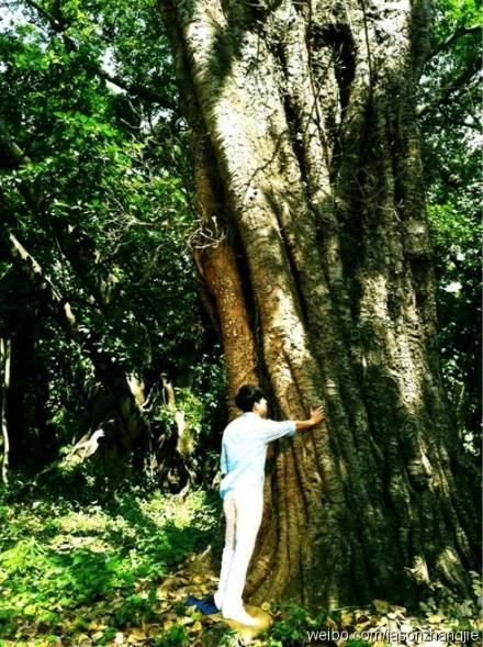 张杰被逼问何时生宝宝 张杰谢娜私下甜蜜生活