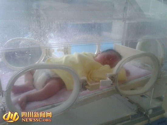 刚出生婴儿被弃垃圾池 将被送往福利院(组图)