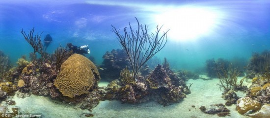 【环球旅游】海底探秘之旅!谷歌全新海景地图