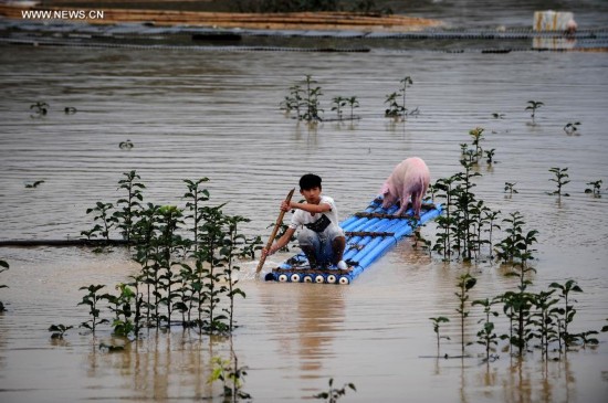 Rain-triggered flood hits China's Lishui City