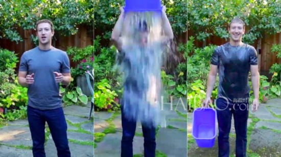 ˡ˲ (Mark Zuckerberg) 롰ALSͰս (ALS Ice Bucket Challenge) Ƭ